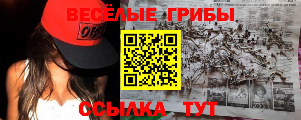 Новозыбков  Псилоцибиновые грибы мухоморы  Псилоцибиновые грибы мухоморы  Вход с VPN 