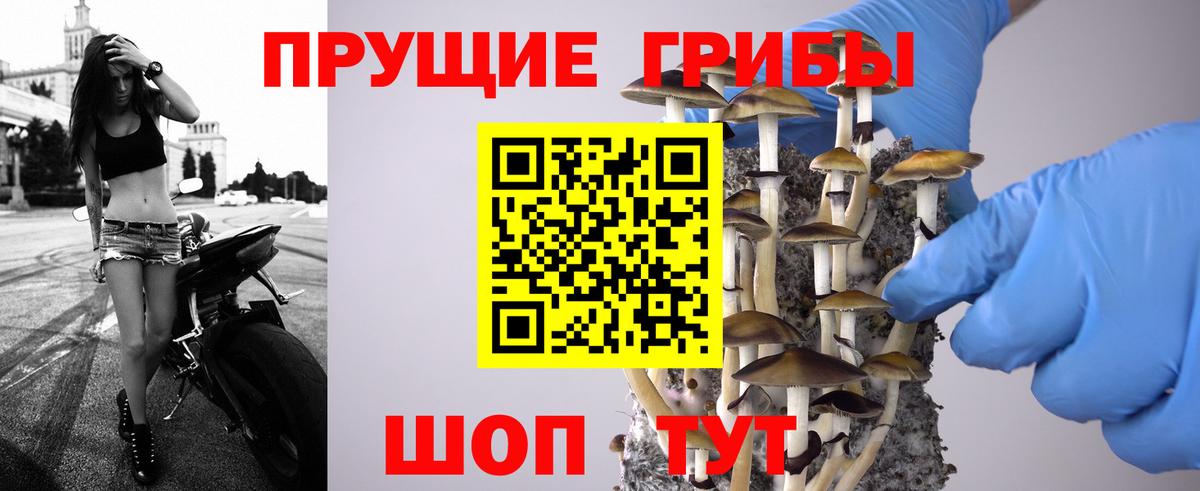 Псилоцибиновые грибы мухоморы Новозыбков